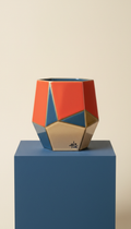 Coral Pop Signature Geometric Mug